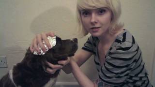 the entangled yarmulke.