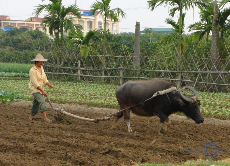 Hình ảnh chỉ mang tính chất minh họa