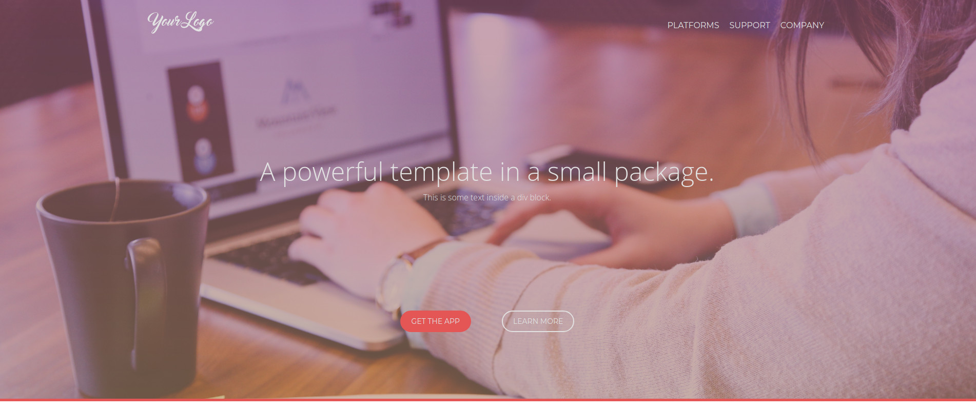 Software Company Website Template