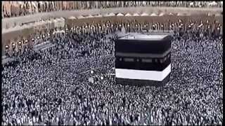 Ant death circles in Mecca