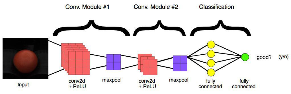 Fully connected layer