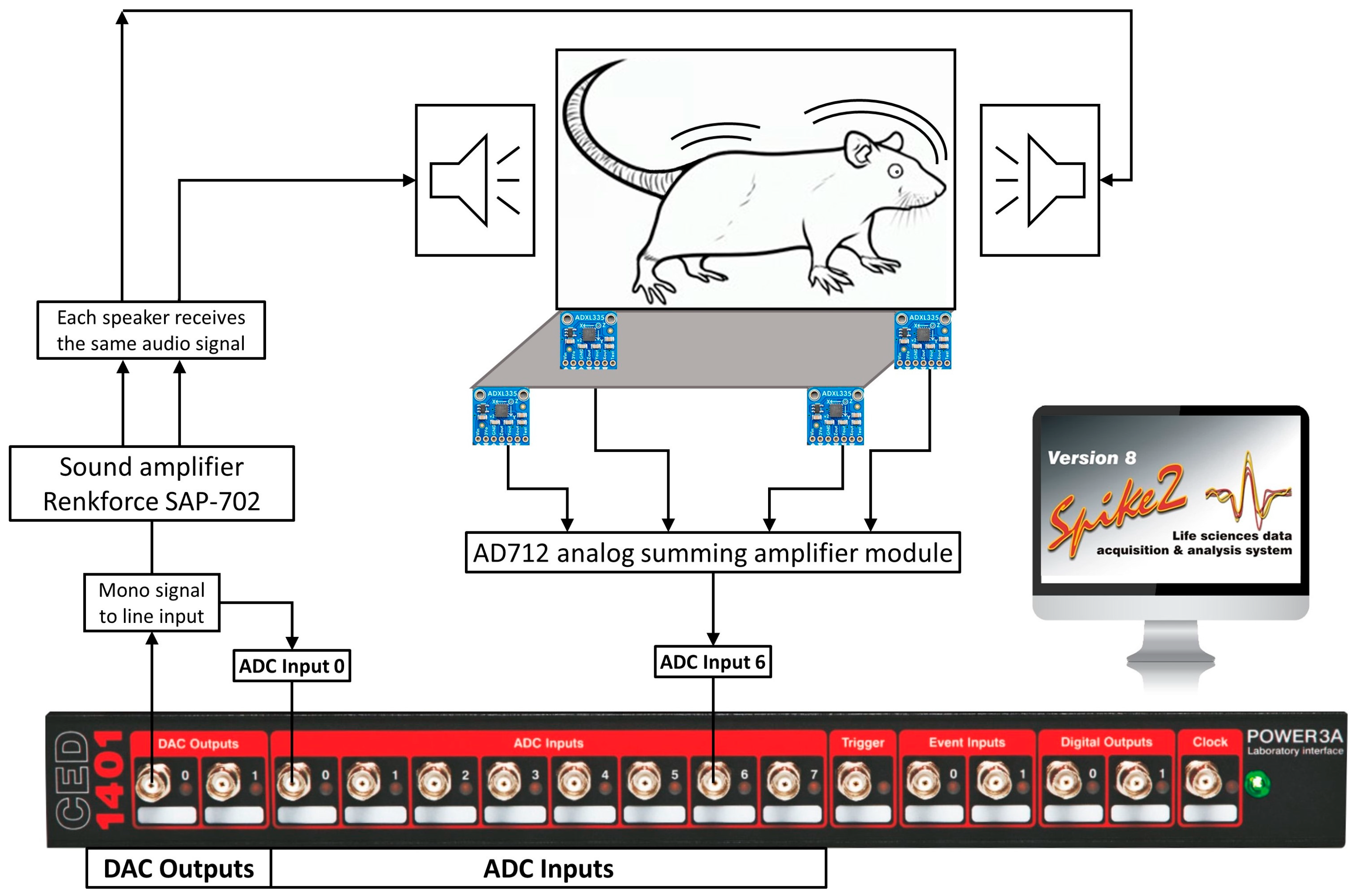 Block diagram of the ASR system components