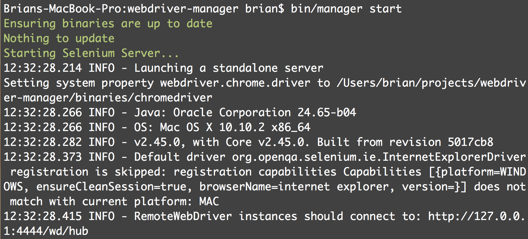 WebDriver start command