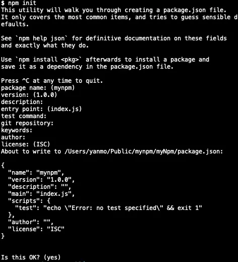 npm init result