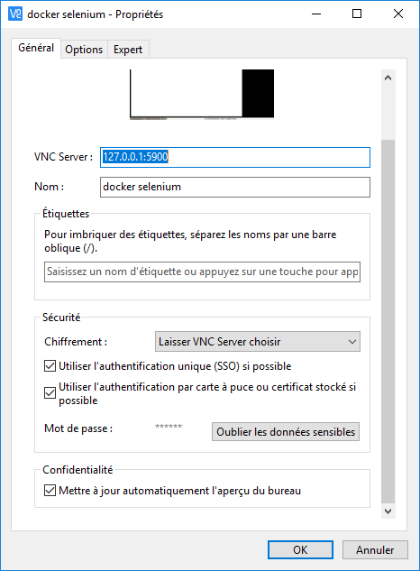 VNC Viewer example