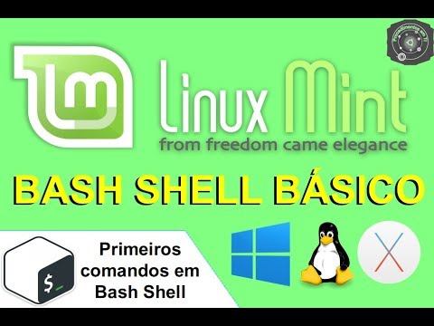 Bash Shell Básico