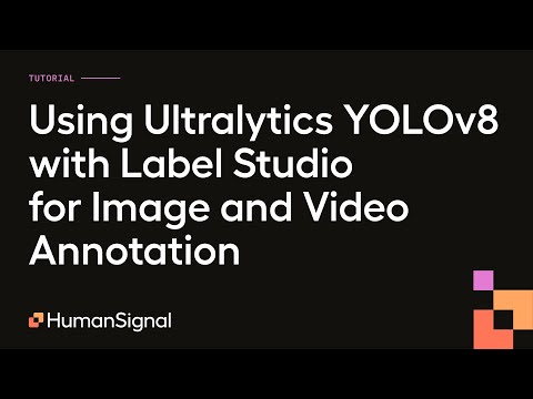 YOLO Integration Video