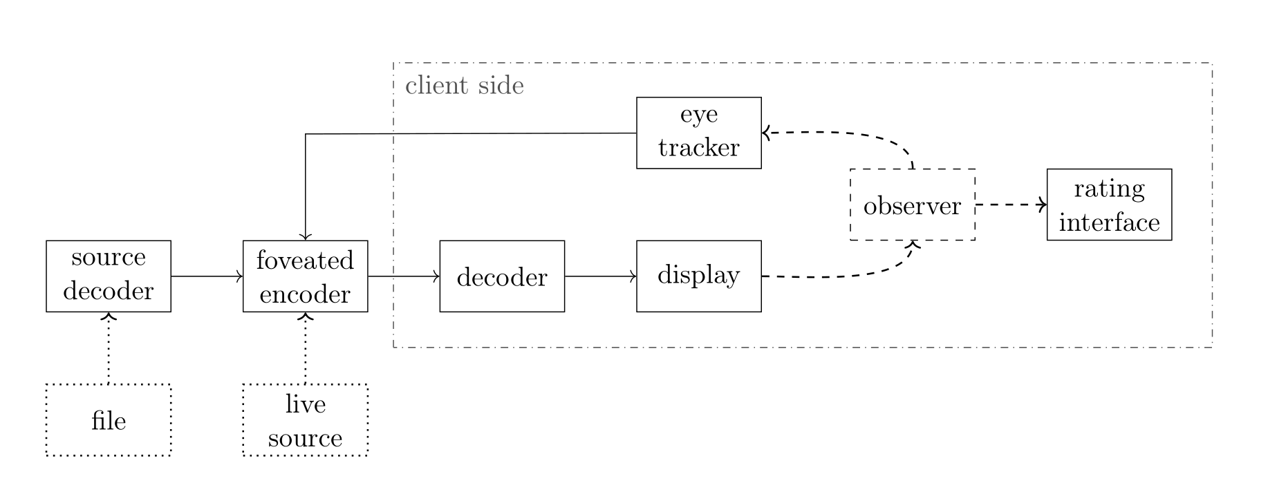 FFoveated Schematic