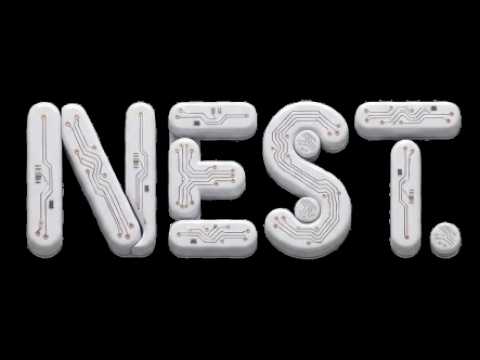 NEST — Problem & solution