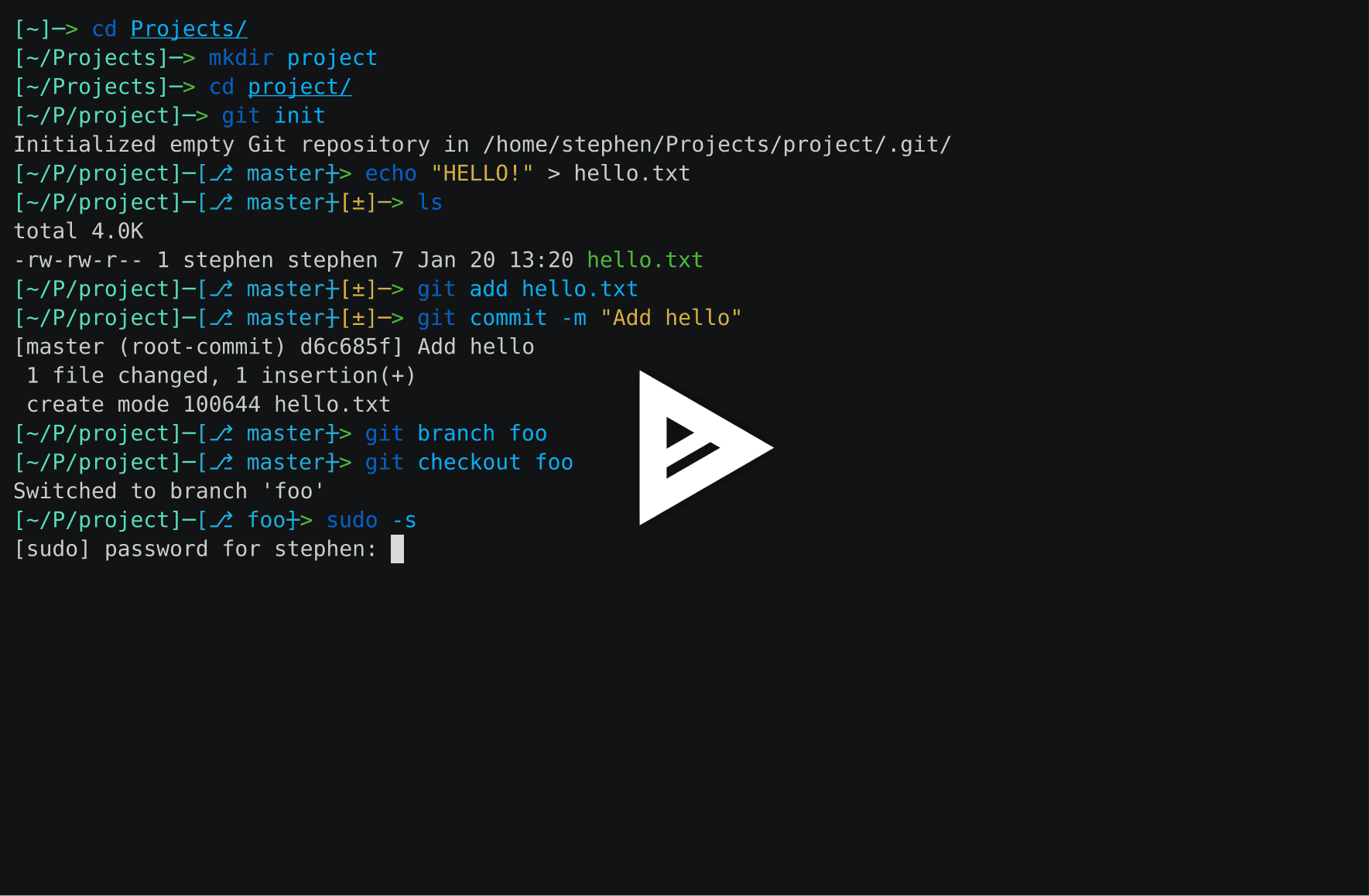 asciicast