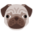 Pug