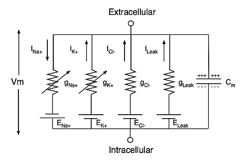 Example compartment