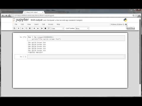 Demo Video