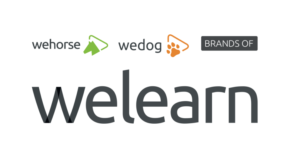 welearncompany and brands logo