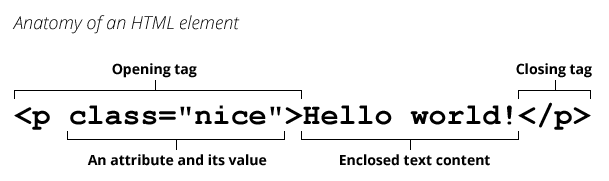Anatomy of an HTML element