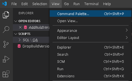 Visual Studio Code example