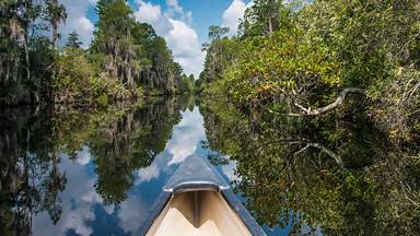 Canoeing in Okefenokee National Wildlife Refuge, Georgia (© Brad Beck/Tandem Stills + Motion)