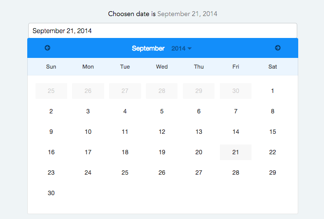 Angular datepicker calendar