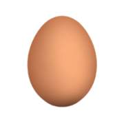 Picture of the egg