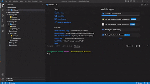 npmi js working in terminal