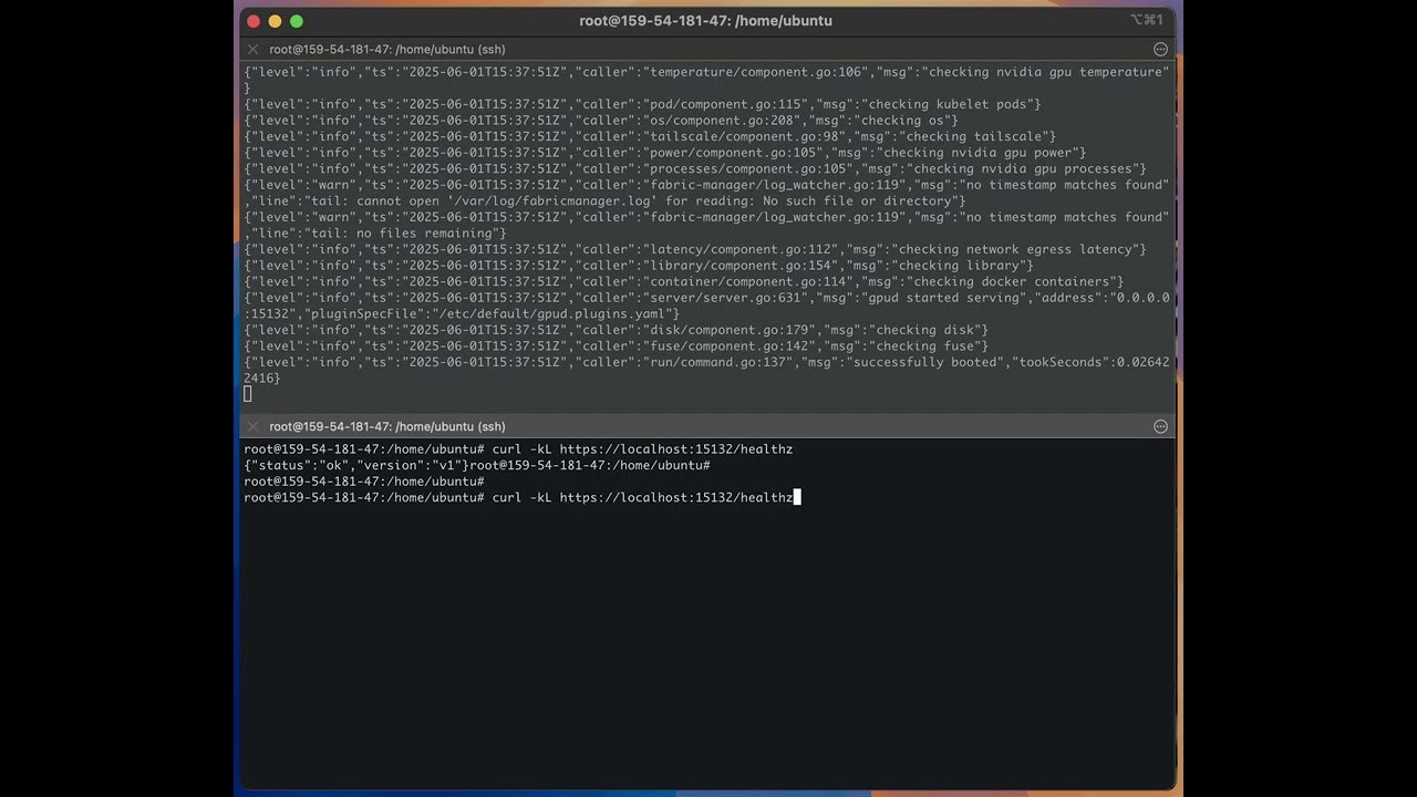 gpud-2025-06-01-02-run-and-api-endpoints