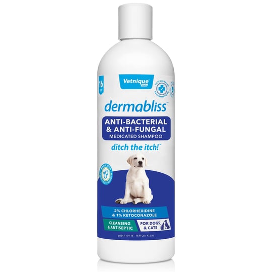 dermabliss-anti-bacterial-anti-fungal-shampoo-16-oz-1