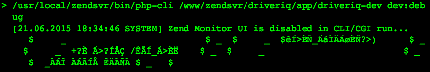 Example error output
