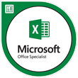 Microsoft Office Specialist: Excel 2013