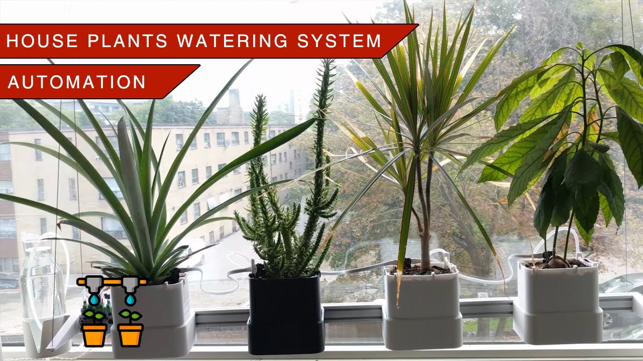 DIY House Plants Watering System - Part 3: Automation and Conclusion