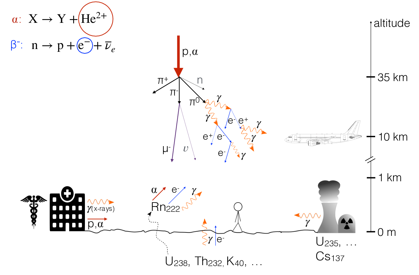 main sources of environmental radioactivity