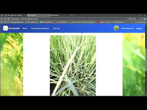 Rice Disease Detection Demo