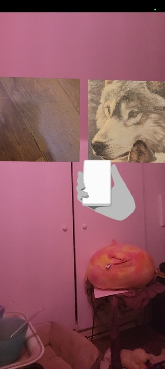 AR View