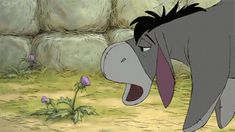 Eeyore consumes a thistle
