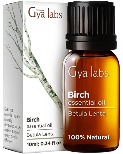 gya-labs-birch-essential-oil-sweet-minty-camphorous-scent-0-34-fl-oz-1