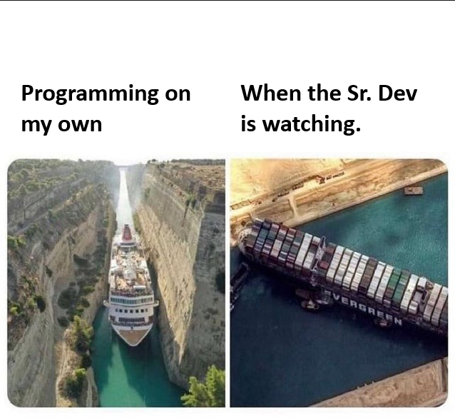 ProgrammerHumour Meme of the Day