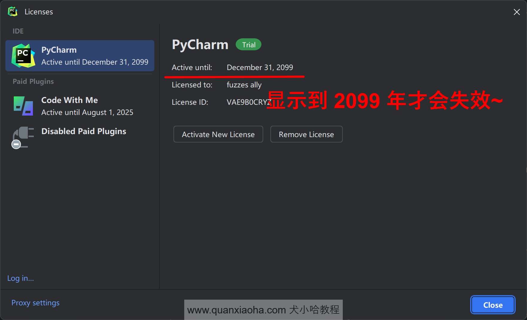 Pycharm  2024.2.1 已经成功激活到 2099 年