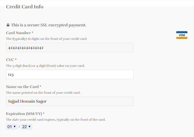 Credit Card Information Fields