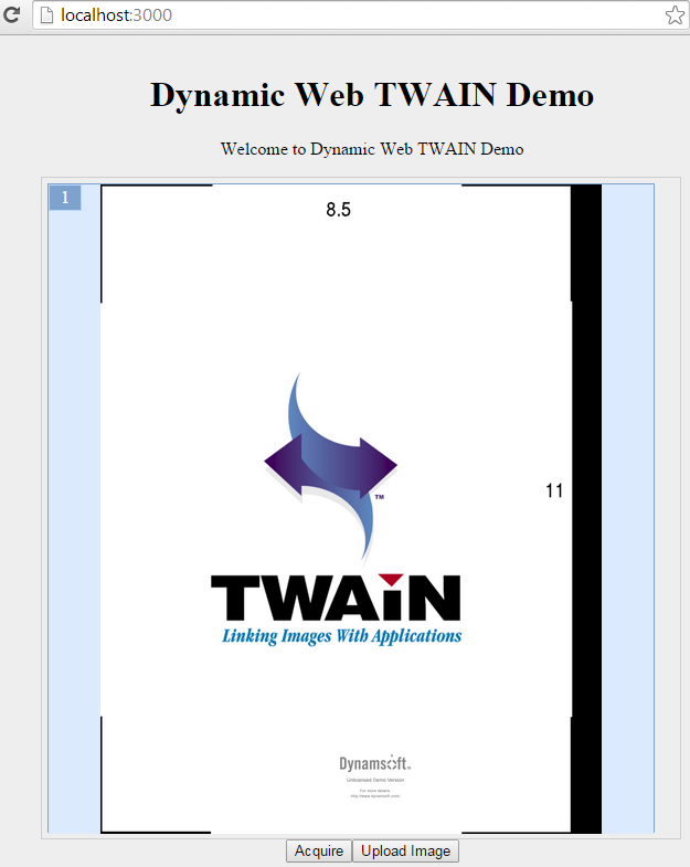 web document management with Dynamic Web TWAIN and Node.js Express