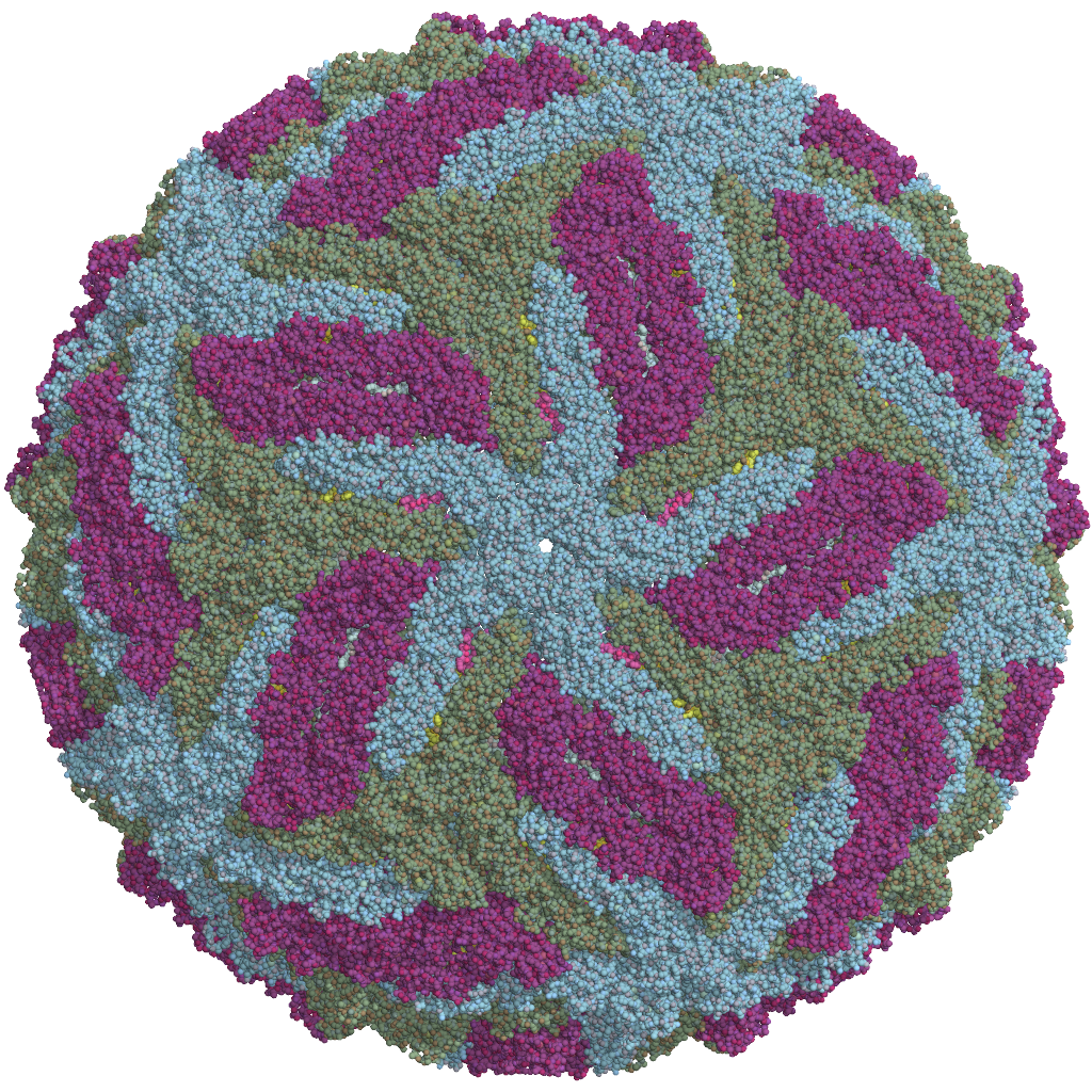 Zika virus cryo-EM structure