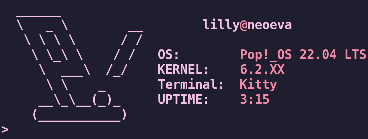 Screenshot Terminal