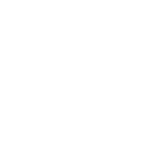 Hacking-France Logo