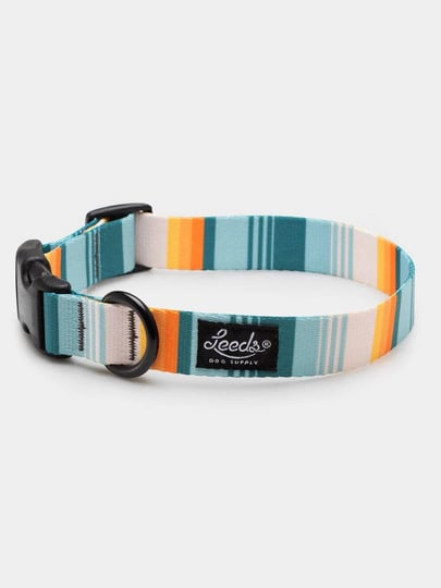doheny-collar-best-dog-collar-comfortable-adjustable-ultra-durable-designed-and-built-in-california--1