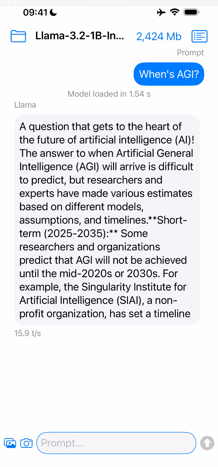 iOS app running a LlaMA model