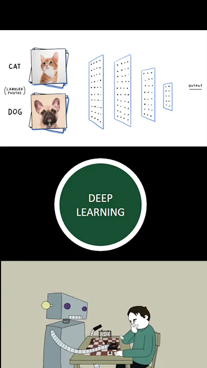 Skills Data Scientist