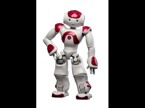 What is ROS (short description)