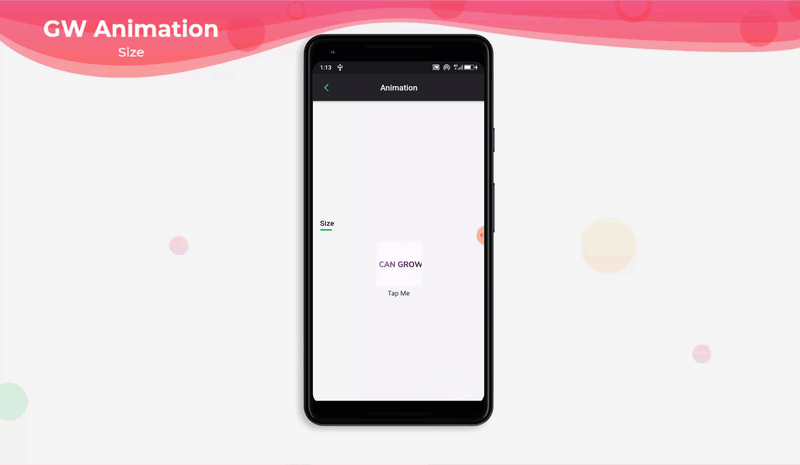 Flutter Size Animation