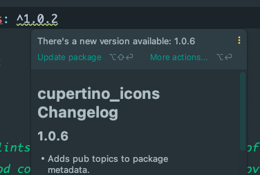 View package's changelog screenshot