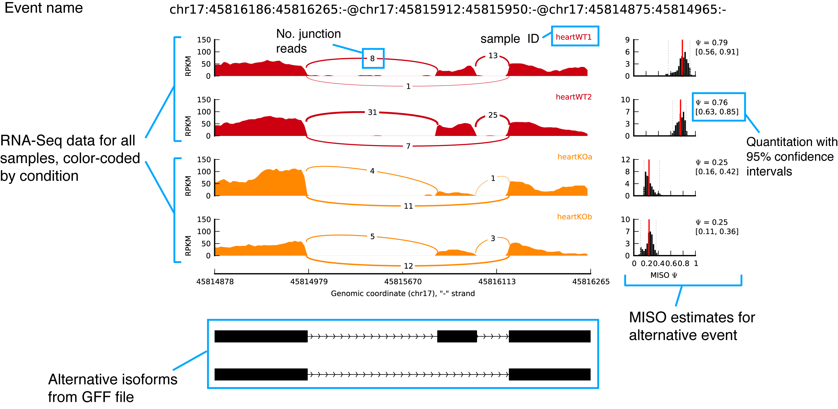 sashimi plot explained