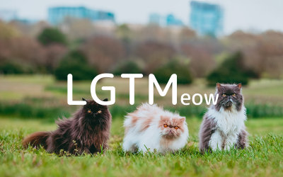 LGTMeow