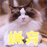 猫不理咖啡-嫌弃